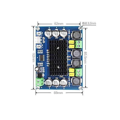 Treedix TPA3116DA DC 12V 24V 100W Dual Channel Digital High-Power Audio Amplifier Board TPA3116D2 Large Capacity Board DIY Modue